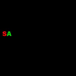 SAR International Investment L.L.C